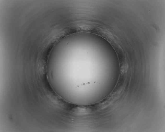 X0000113860464200910081710