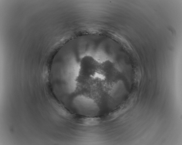 X0000113860465200910081710