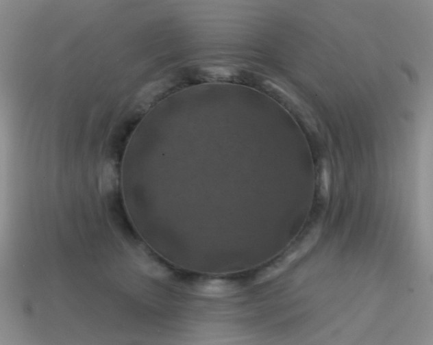 X0000113860467200910081710