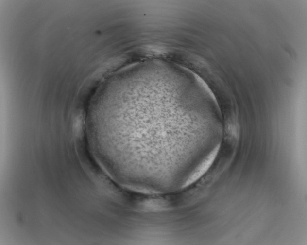 X0000113860468200910081710