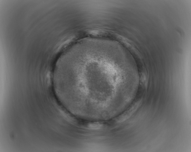 X0000113860470200910081710