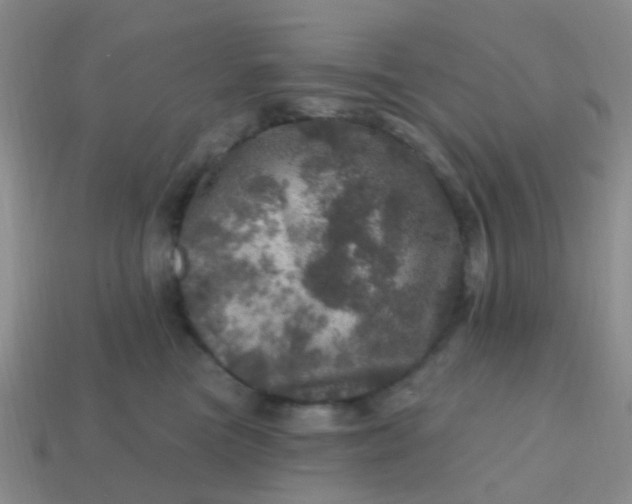 X0000113860473200910081710