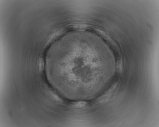 X0000113860474200910081710