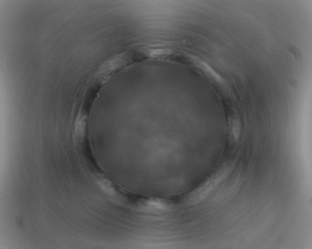 X0000113860475200910081710