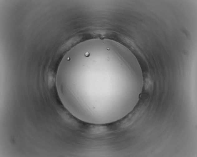 X0000113860476200910081710