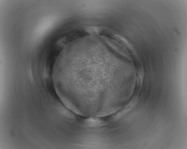 X0000113860477200910081710