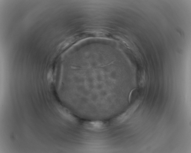 X0000113860478200910081710