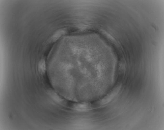 X0000113860479200910081710