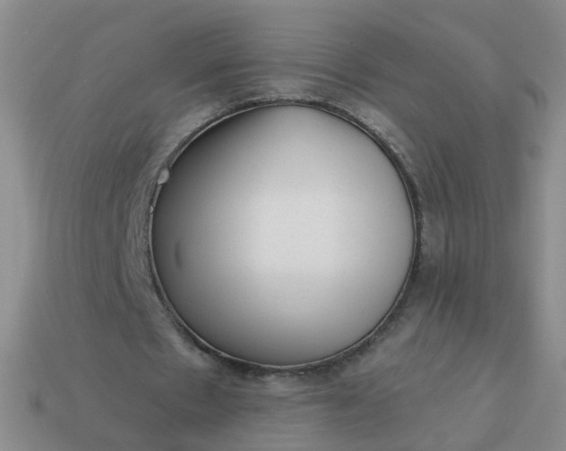 X0000113860481200910081709
