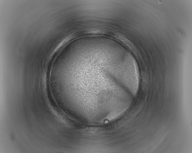 X0000113860482200910081709