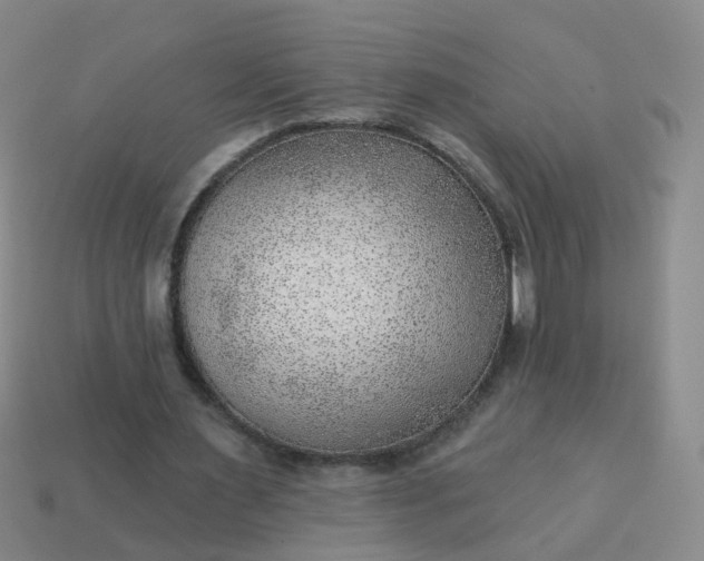 X0000113860483200910081709