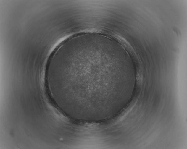 X0000113860484200910081709