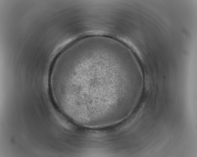 X0000113860486200910081709