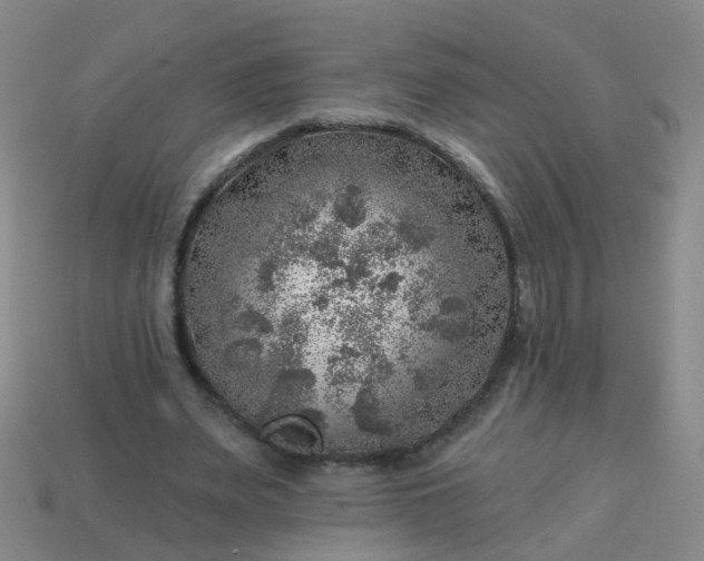 X0000113860487200910081709