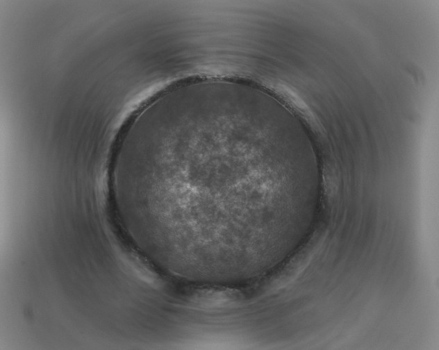 X0000113860488200910081709