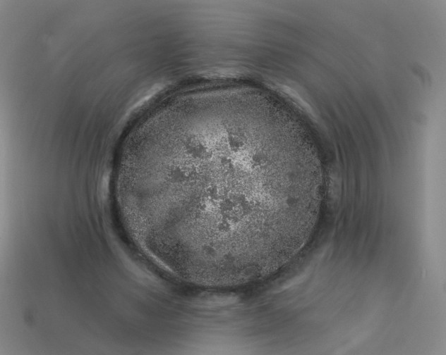 X0000113860491200910081709