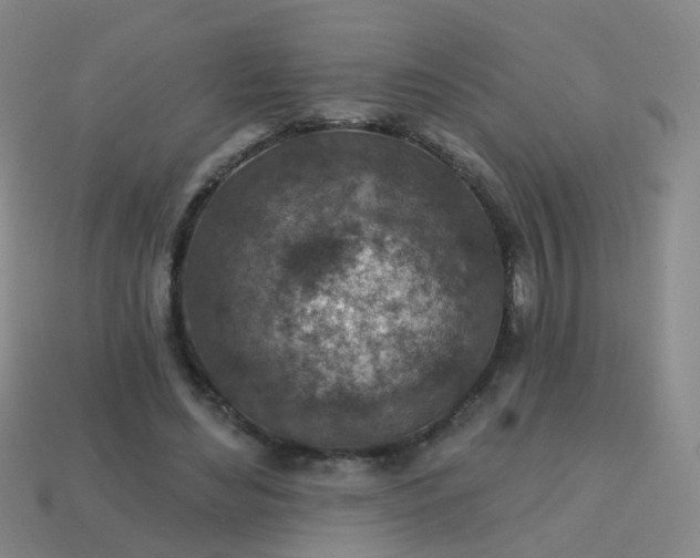 X0000113860492200910081709
