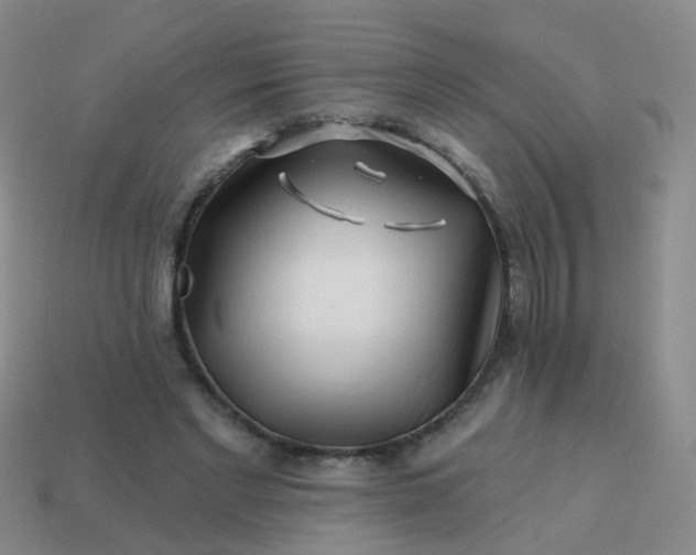 X0000113860493200910081709