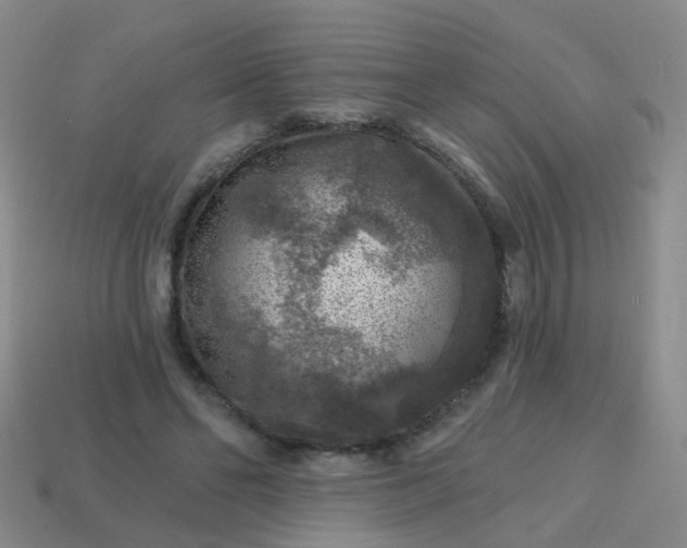 X0000113860494200910081709