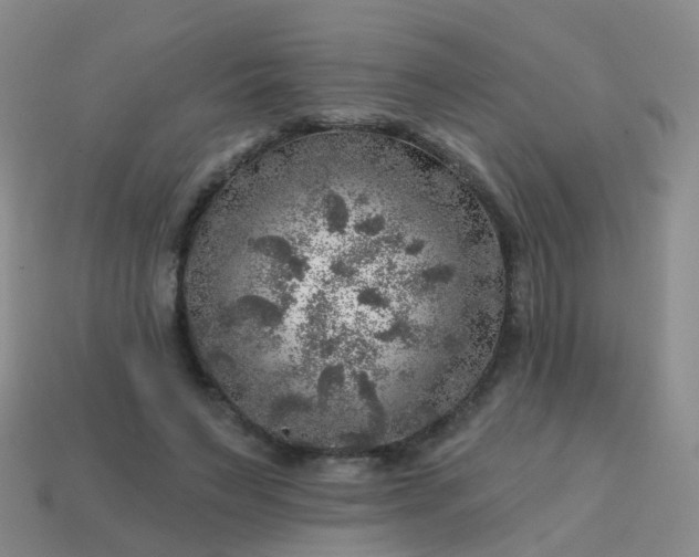 X0000113860495200910081709