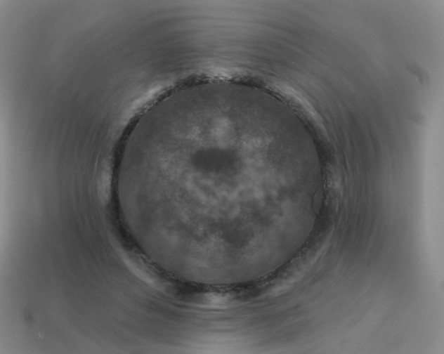X0000113860496200910081709