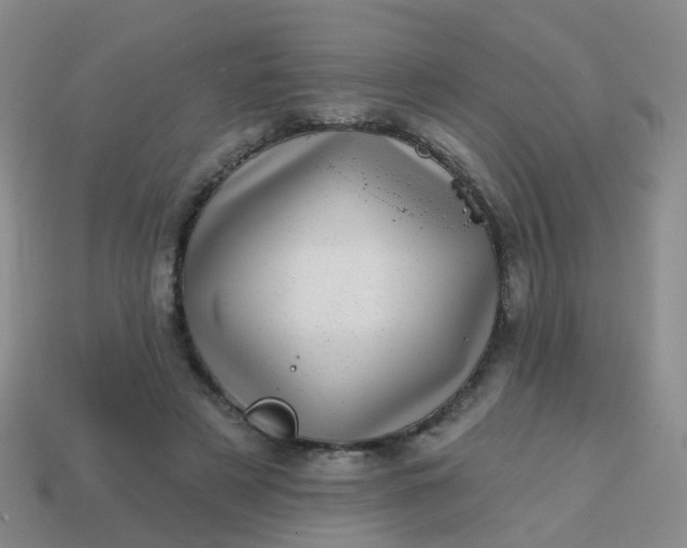 X0000113860497200910081709