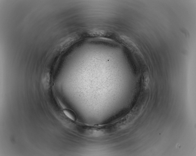X0000113860498200910081709