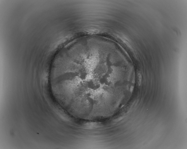 X0000113860499200910081709