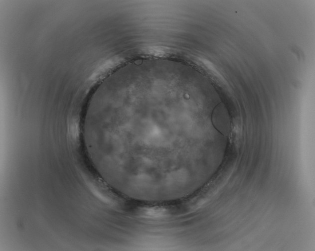 X0000113860500200910081709