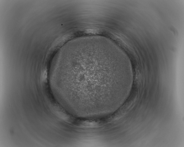 X0000113860502200910081709