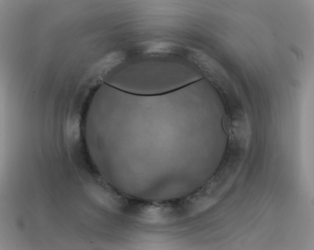 X0000113860504200910081709