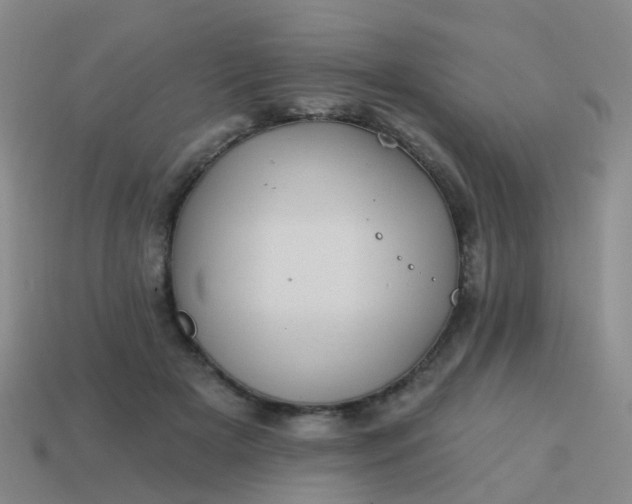 X0000113860505200910081709