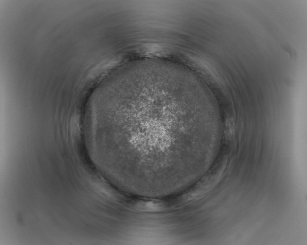 X0000113860506200910081709