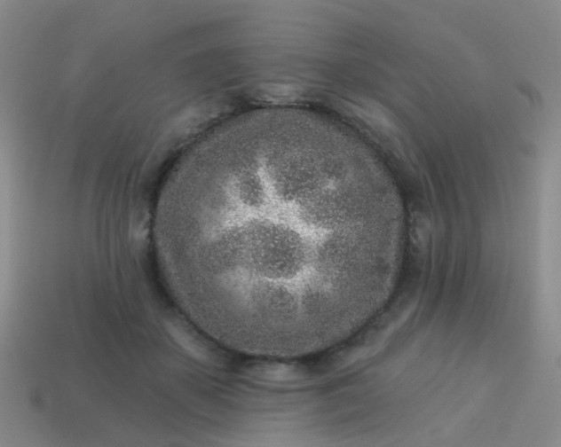 X0000113860507200910081709