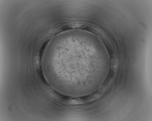 X0000113860510200910081709