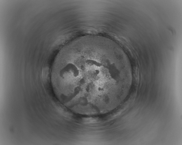 X0000113860511200910081709