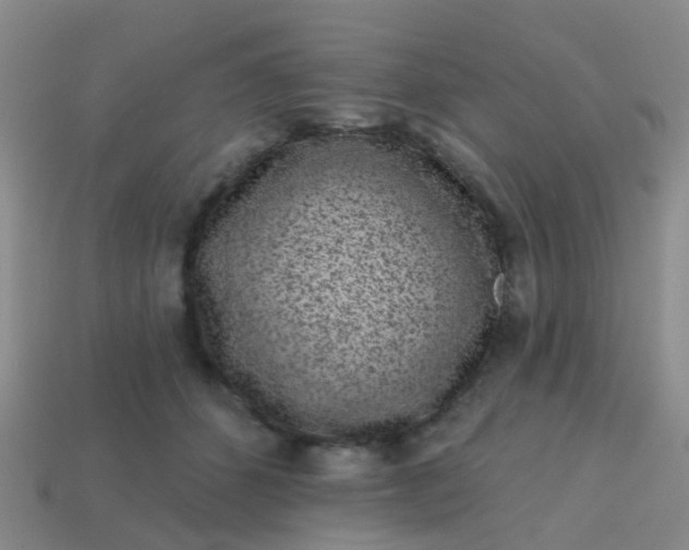 X0000113860512200910081709