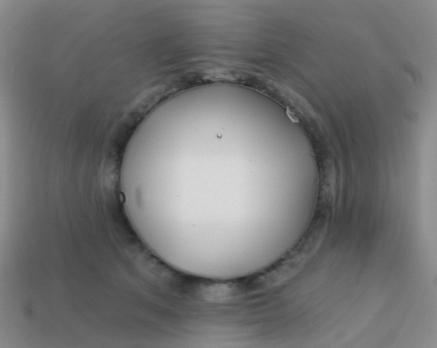 X0000113860513200910081709