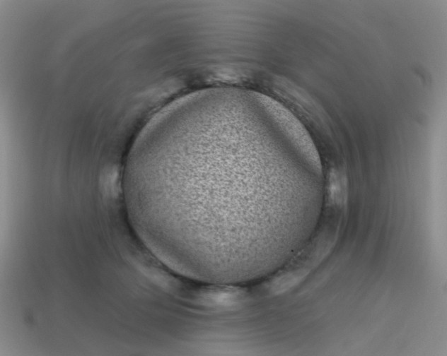 X0000113860514200910081709