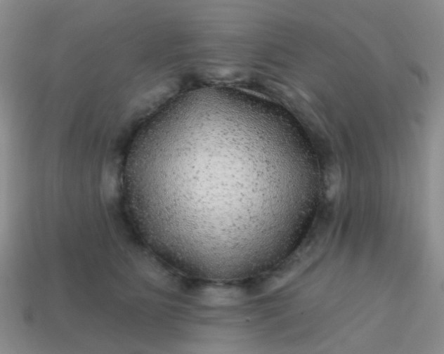 X0000113860515200910081709