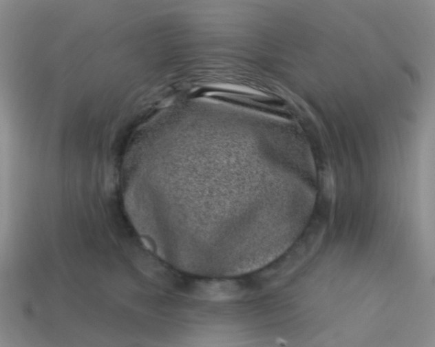 X0000113860517200910081709