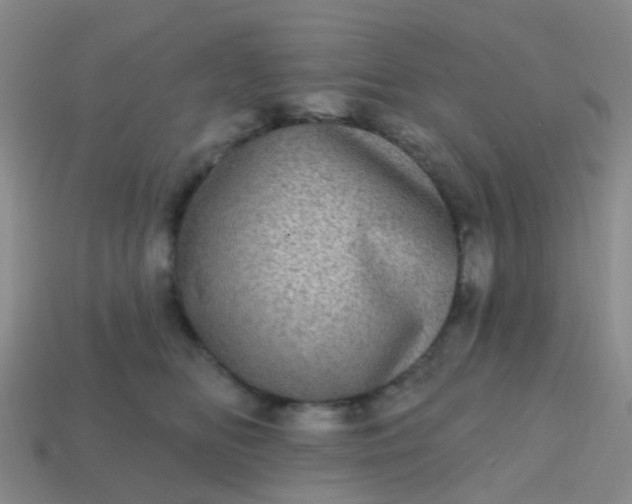 X0000113860518200910081709