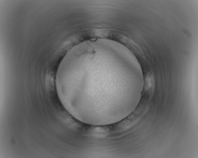 X0000113860522200910081709