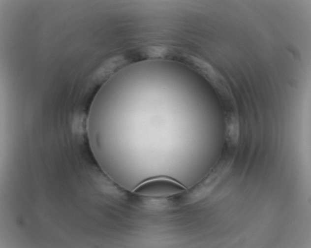 X0000113860525200910081709