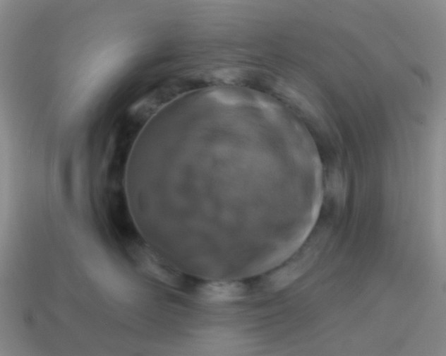 X0000113860526200910081709