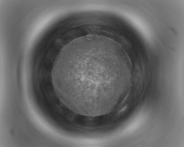 X0000113860527200910081709