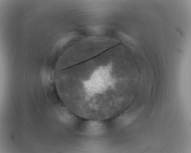 X0000113860528200910081709