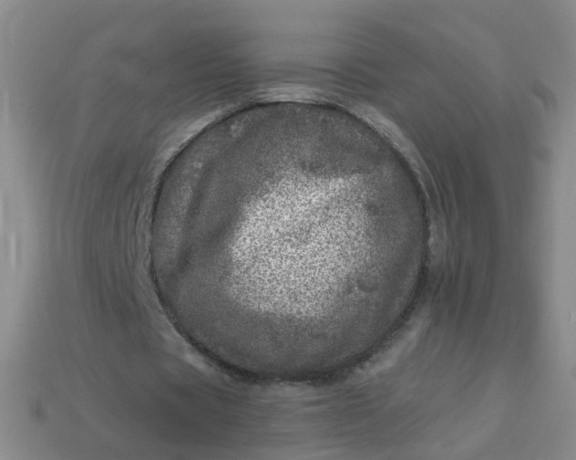 X0000113860529200910081708