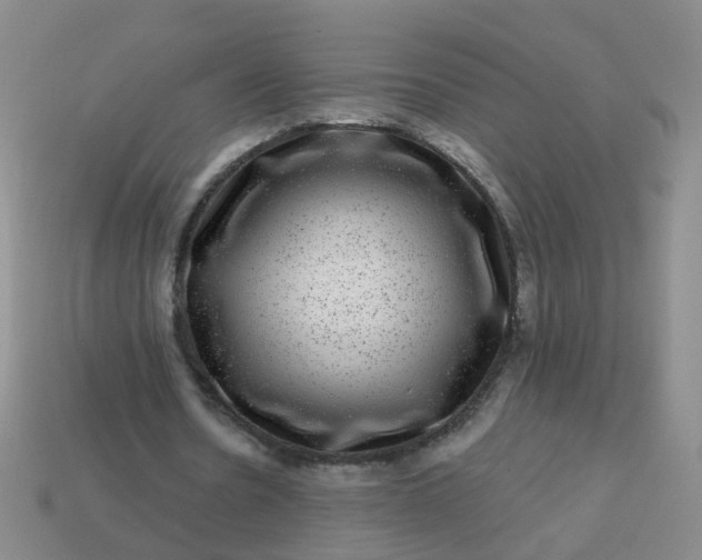 X0000113860530200910081708