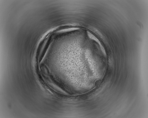 X0000113860532200910081708